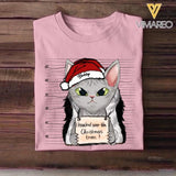 Personalized I Knocked Over The Christmas Tree  Cat Lovers Tshirt Hoodie Or Sweatshirt Printed QTDT2511
