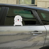 Personalized Dog Lovers Gift Decal Printed MTKVH23158