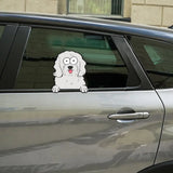 Personalized Dog Lovers Gift Decal Printed MTKVH23158