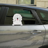 Personalized Dog Lovers Gift Decal Printed MTKVH23158