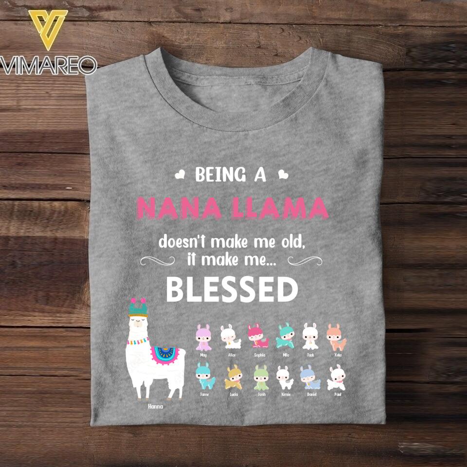 Personalized  NaNa Llama Tshirt Printed QTHY046