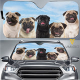 Pug Dog CMEU