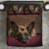 German Shepherd Dog EAMD