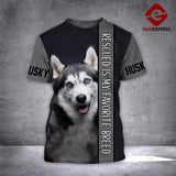 Husky Dog HQEM