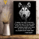 Husky Dog VEMS