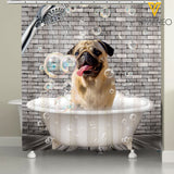 Pug Dog SUER